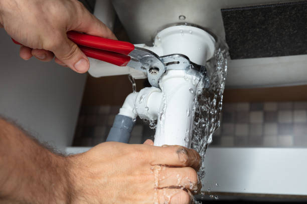 Best Flood damage cleanup  in Edwards, CO