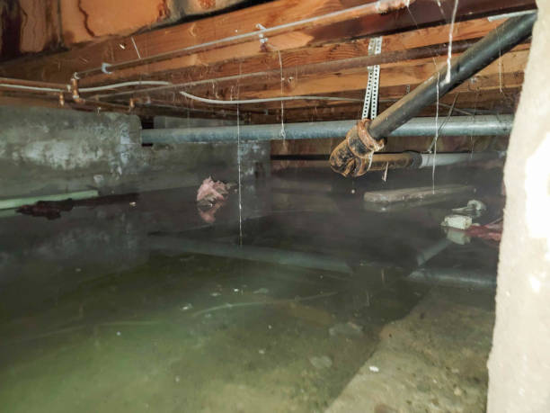 Best Water damage restoration insurance claims  in Edwards, CO