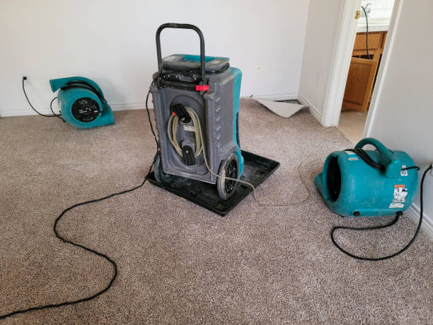 Best 24/7 water damage repair  in Edwards, CO