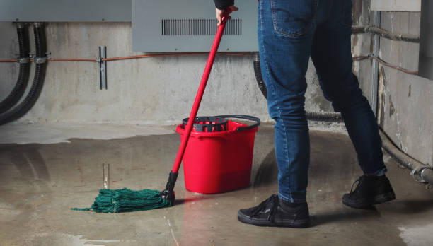 Best Basement water damage restoration  in Edwards, CO