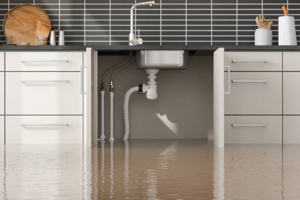 Best Ceiling water damage repair  in Edwards, CO